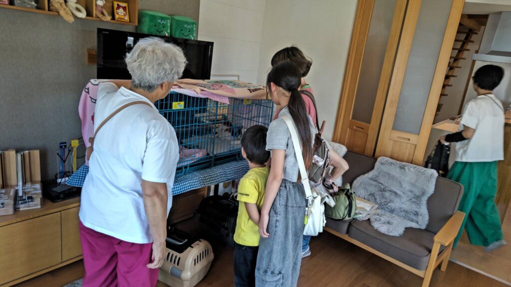譲渡会2