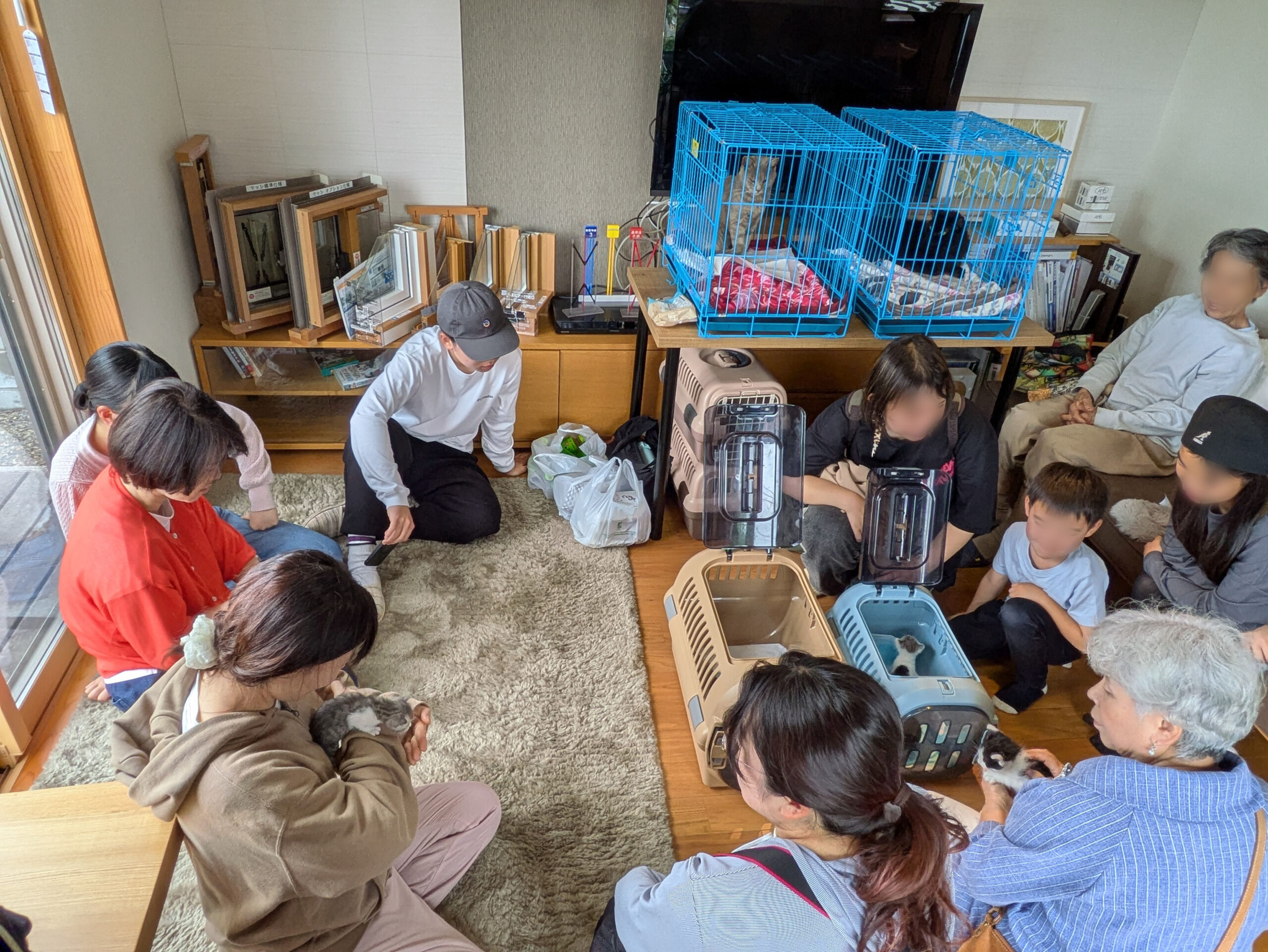 いちはら猫イチバン譲渡会