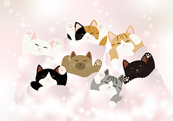 いちはら猫イチバン 里親さん募集
