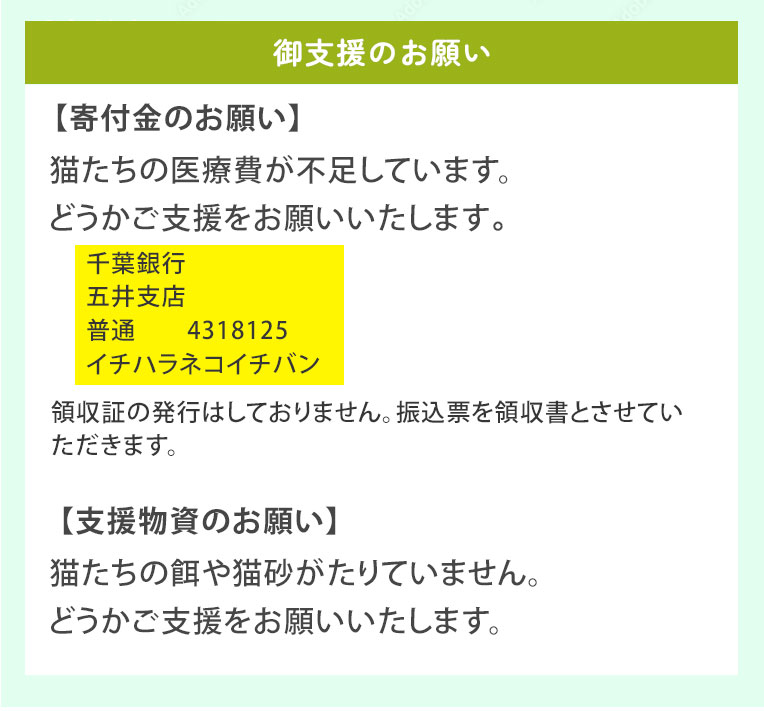 いちはら猫イチバン ご支援　振込先