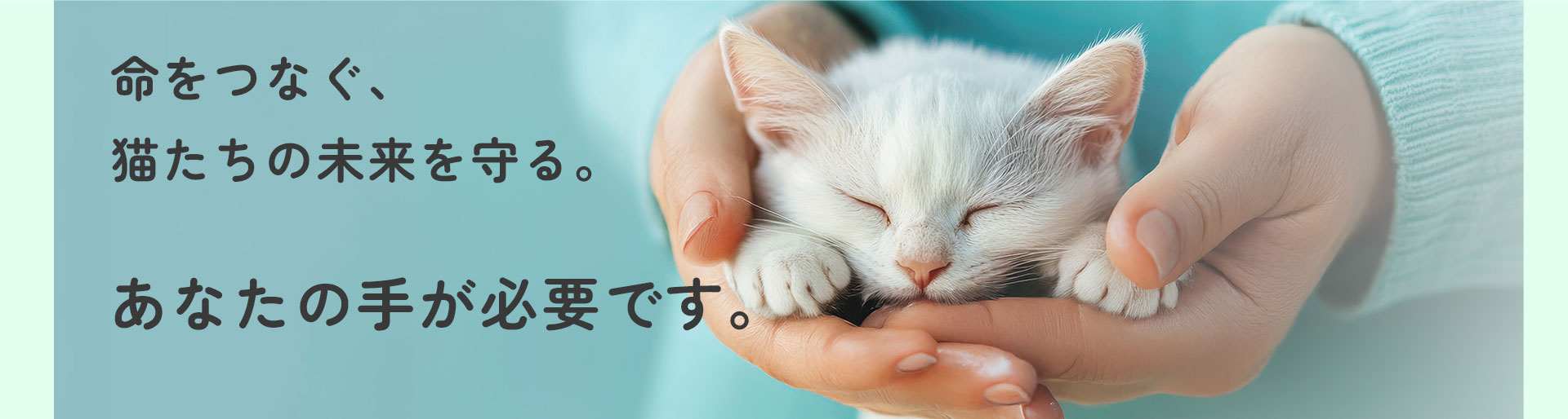 市原市 いちはら猫イチバン