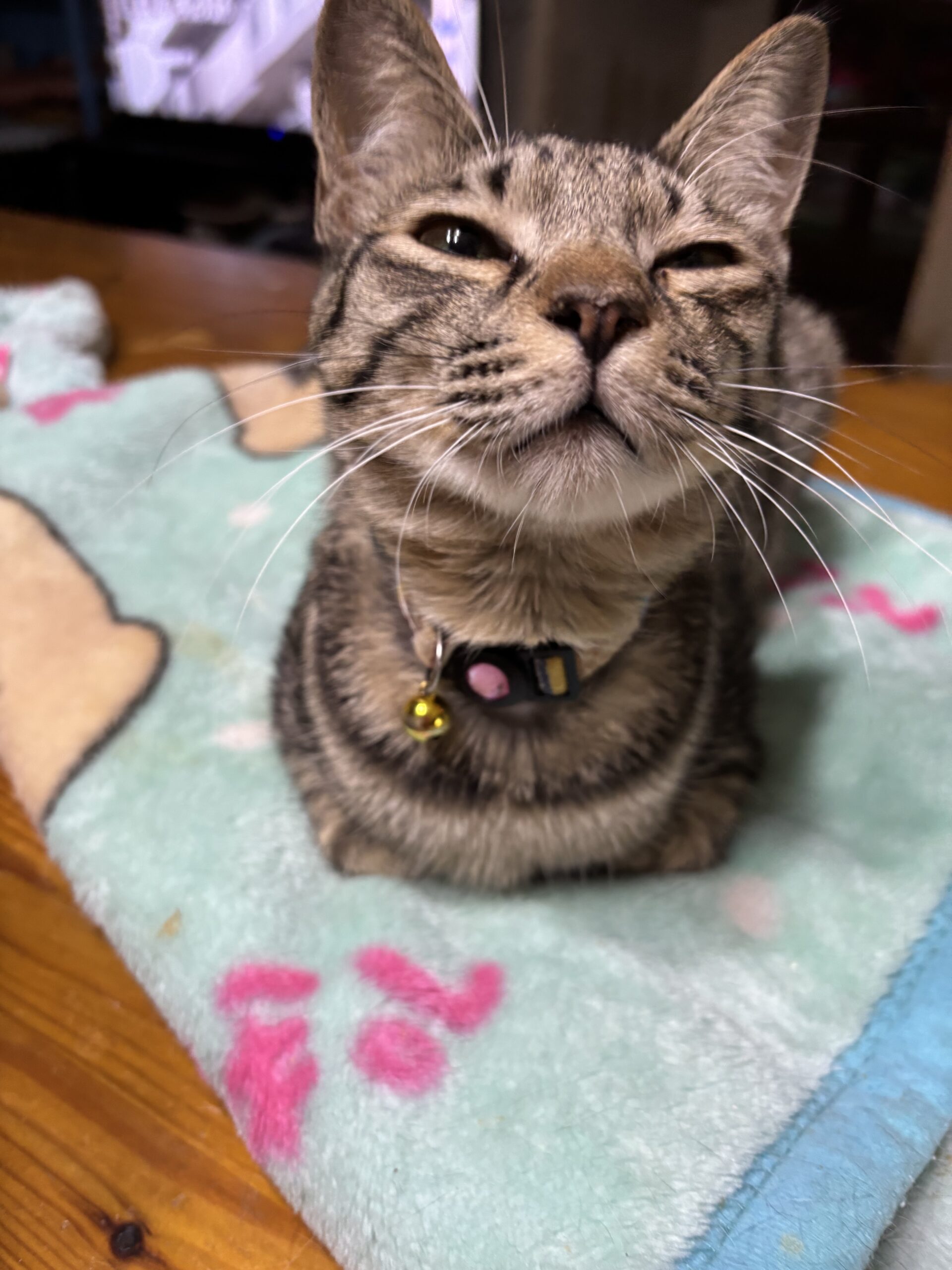 咲ちゃん
