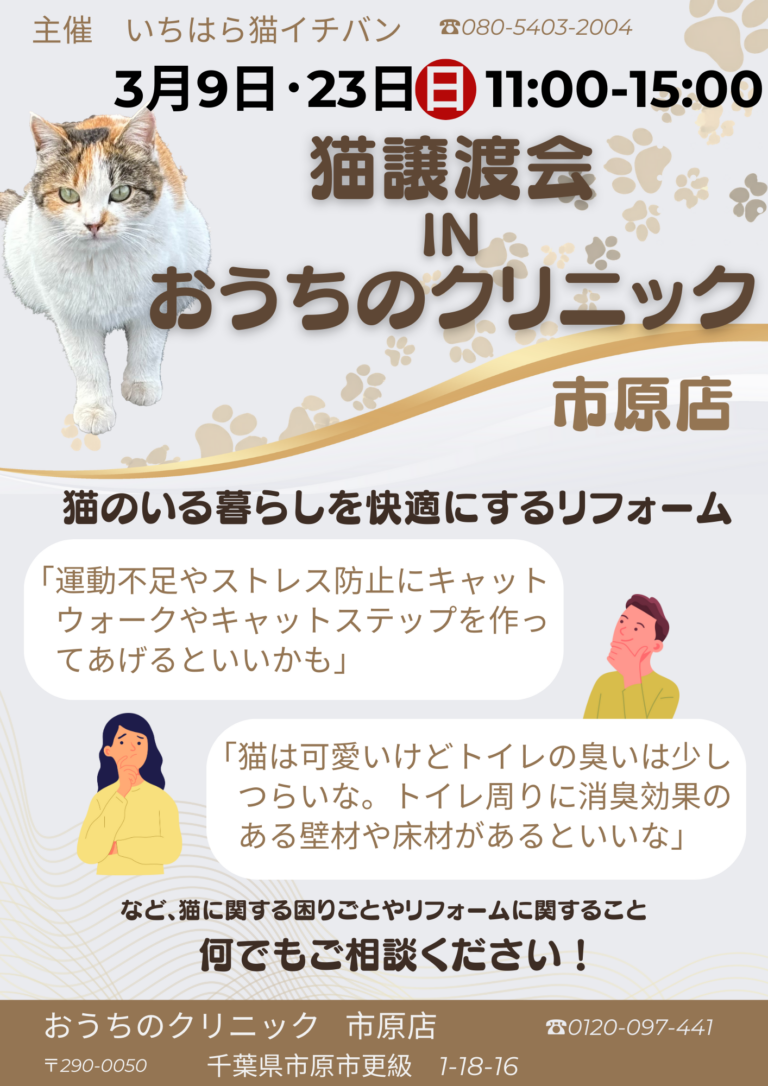 いちはら猫イチバンinおうちのクリニック　市原店