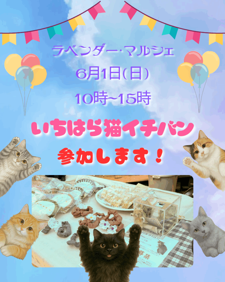 いちはら猫イチバンマルシェ参加
