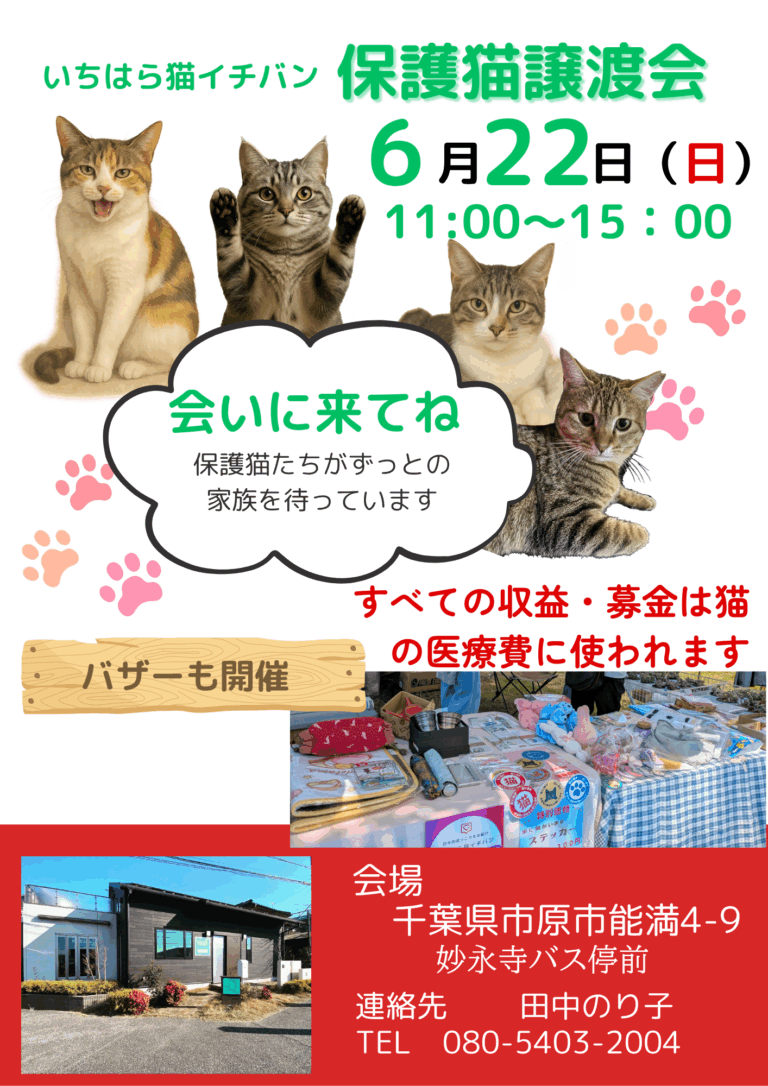 譲渡会0622