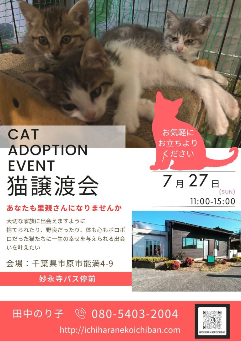 7月22日譲渡会