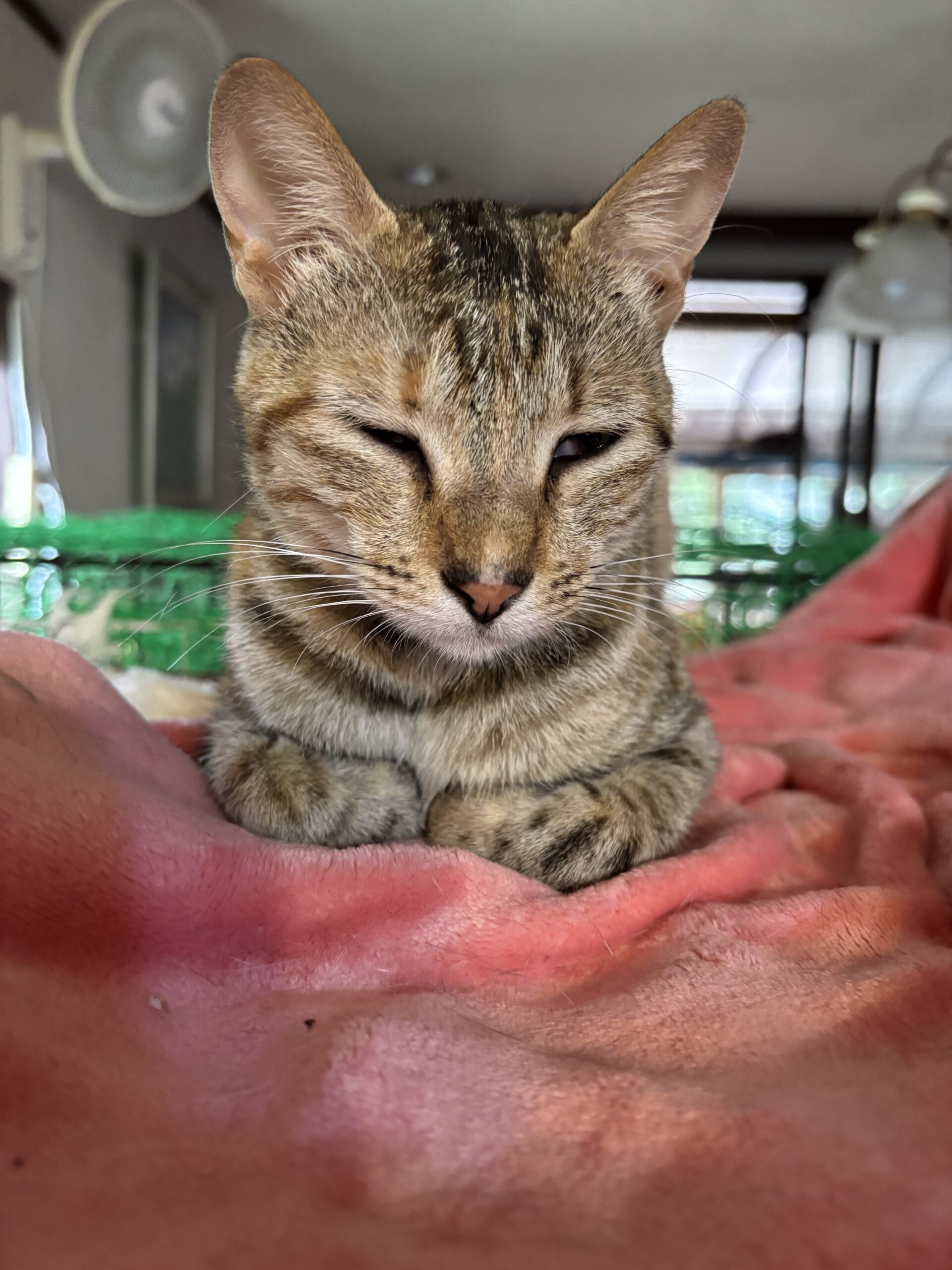 あいちゃん