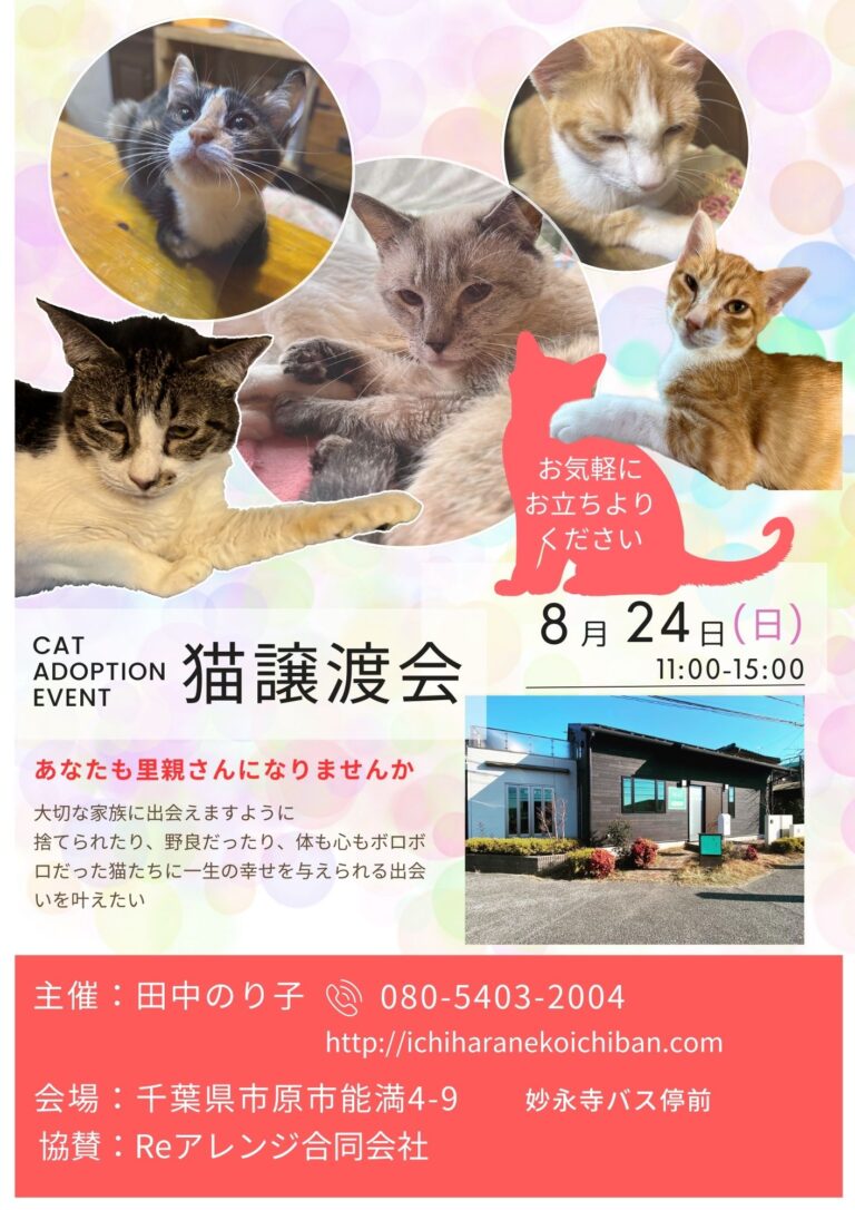 譲渡会８月２４日